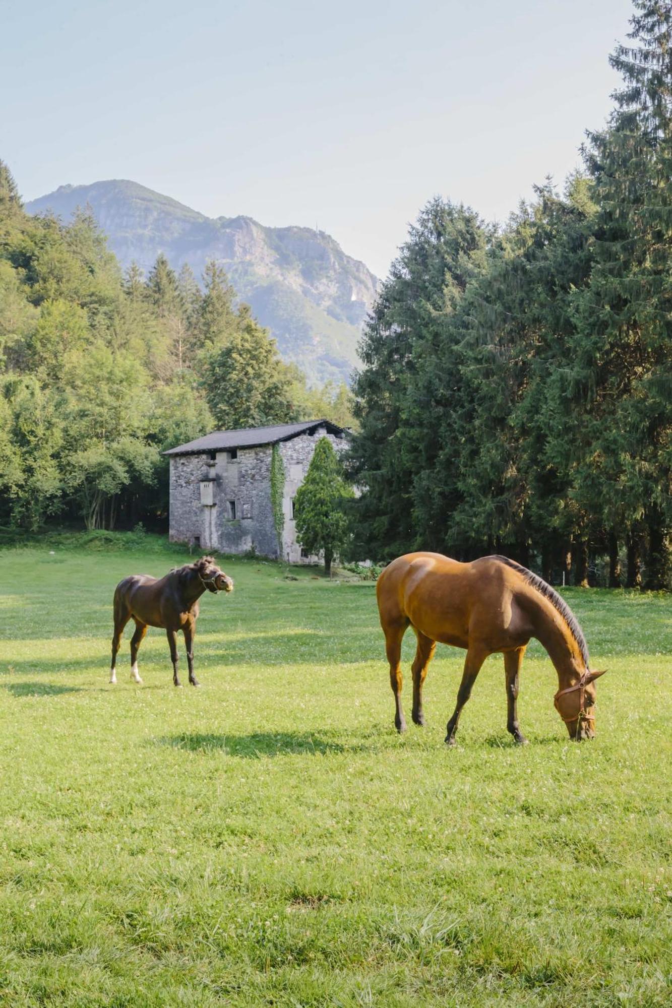 Agriturismo Ferdy Villa Lenna Dış mekan fotoğraf