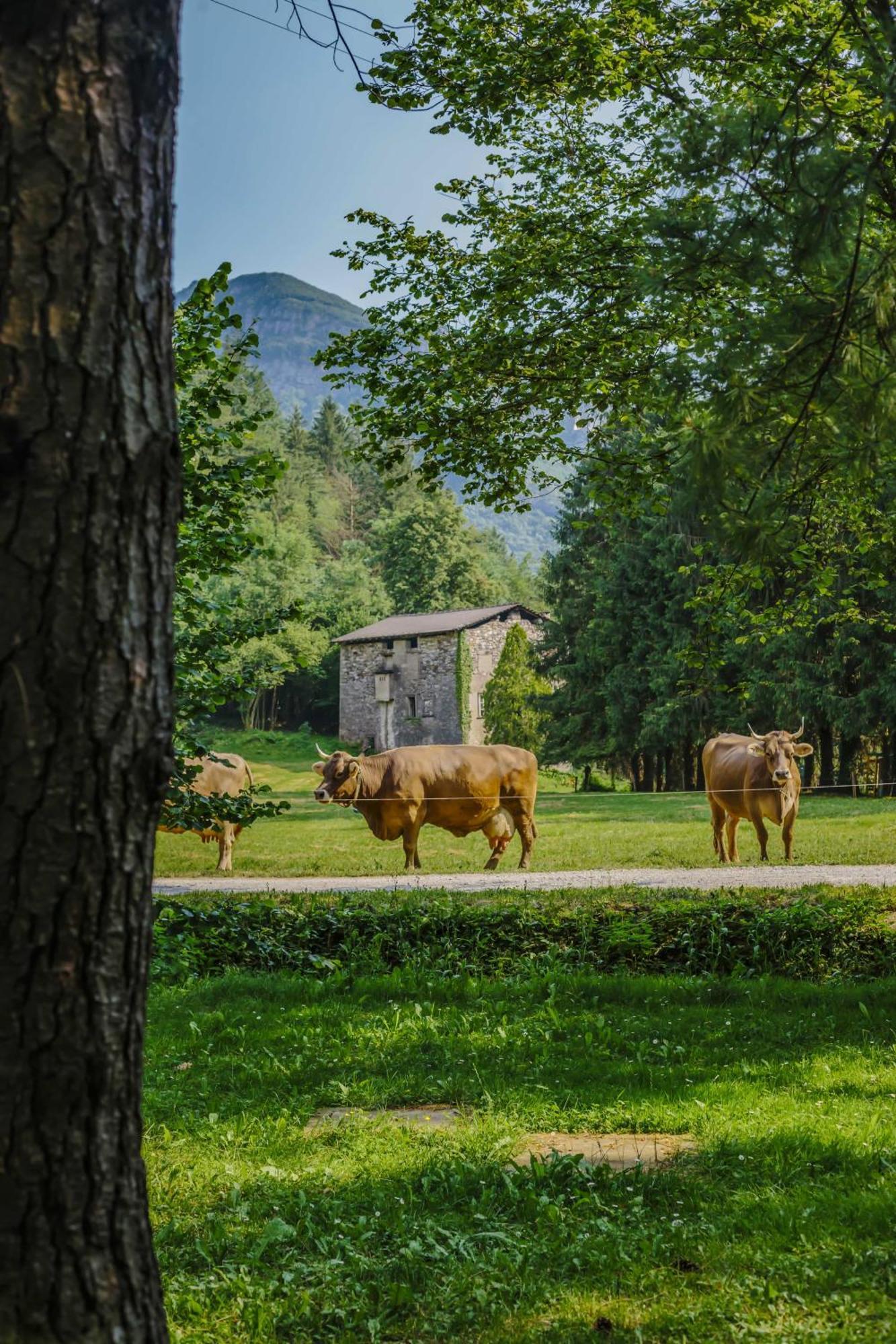 Agriturismo Ferdy Villa Lenna Dış mekan fotoğraf